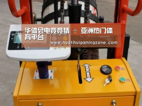 华体会电竞案例展示三
