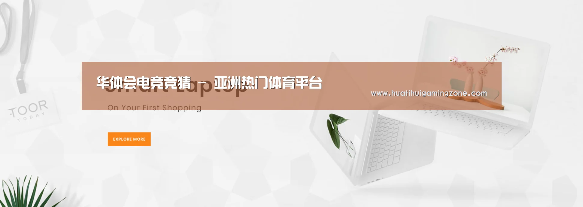 某某网络科技有限公司