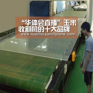 华体会直播