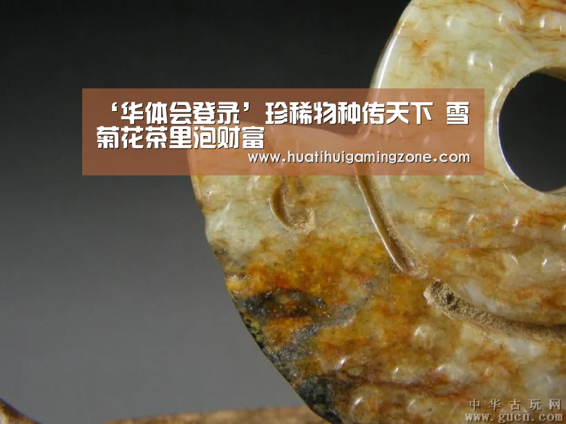 ‘华体会登录’珍稀物种传天下 雪菊花茶里泡财富(图3) 华体会登录