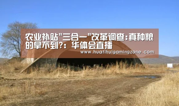 农业补贴三合一改革调查:真种粮的拿不到?:华体会直播(图1) 华体会直播
