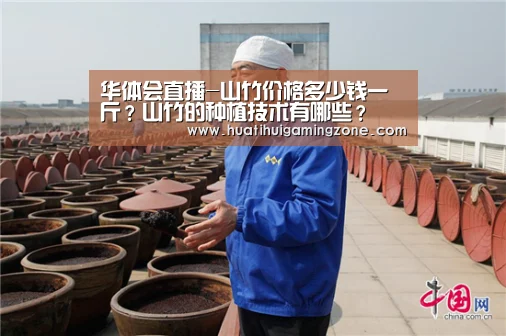 华体会直播-山竹价格多少钱一斤?山竹的种植技术有哪些?(图2) 华体会电竞