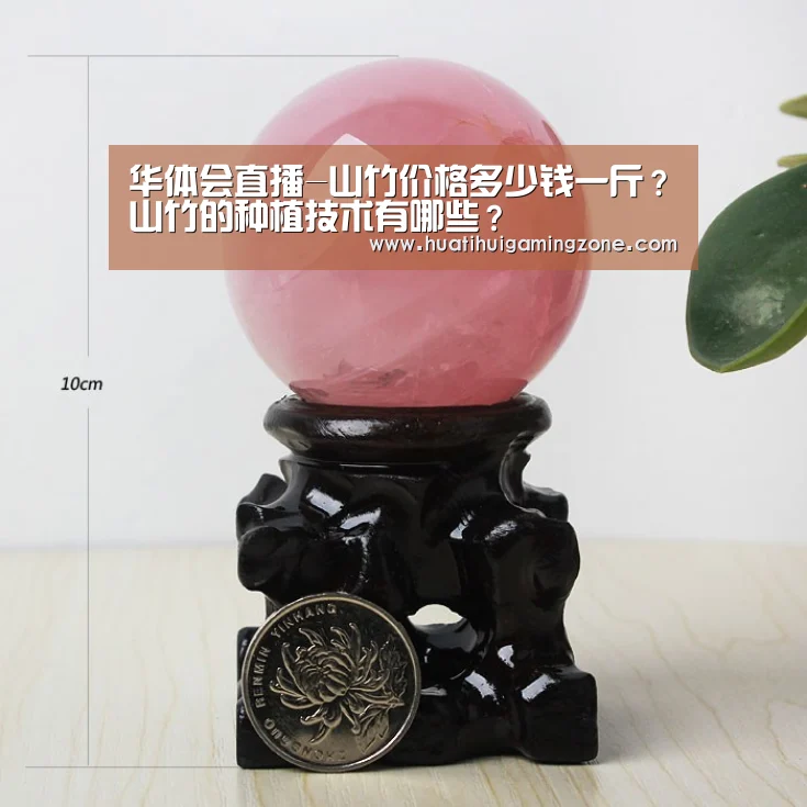 华体会直播-山竹价格多少钱一斤?山竹的种植技术有哪些?(图1) 华体会体育