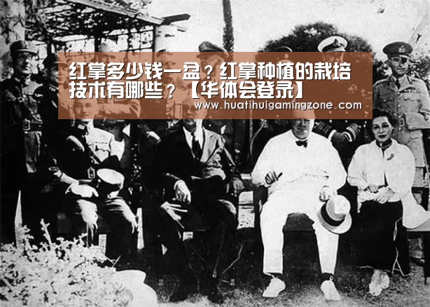 华体会直播