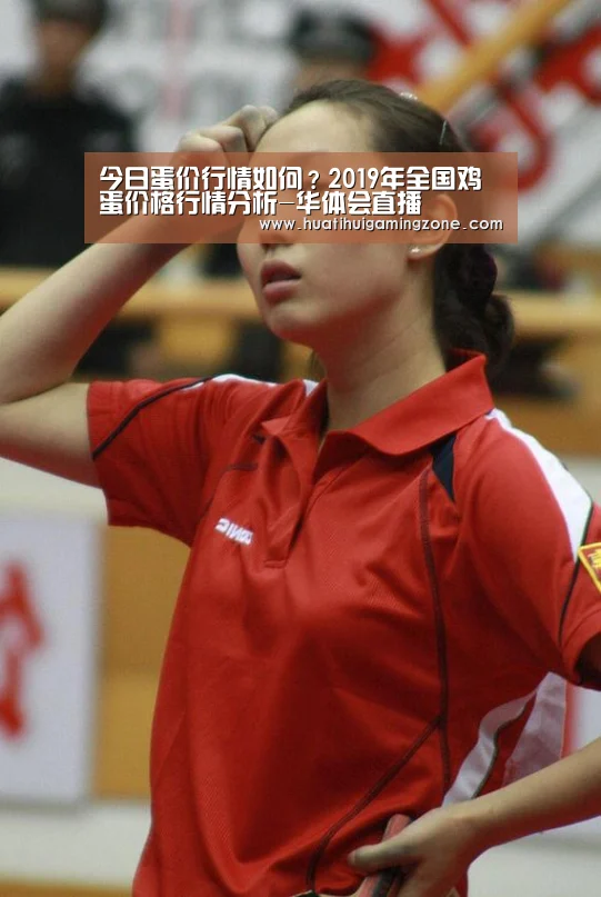 今日蛋价行情如何?2019年全国鸡蛋价格行情分析-华体会直播(图1) 华体会直播