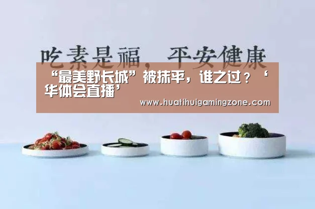 “最美野长城”被抹平,谁之过?‘华体会直播’(图1) 华体会直播