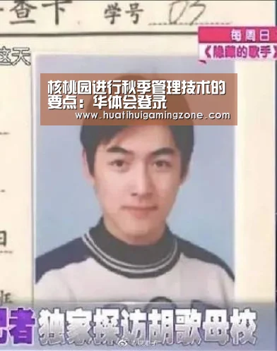 华体会直播