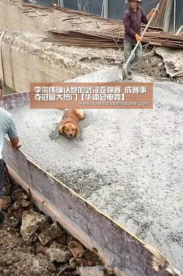 华体会电竞