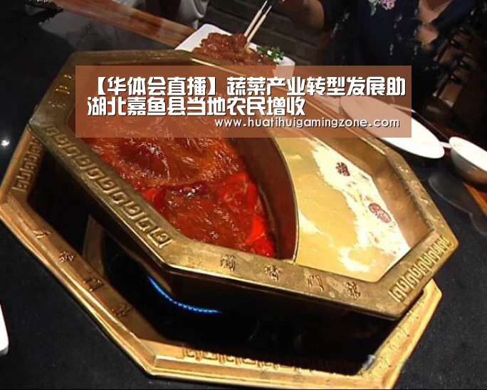 华体会体育