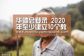 华体会登录_2020年至少建立10个教育集团 青岛基础教育创新:集团化办学坚持“一校一案”(图2) 华体会登录