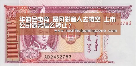 华体会电竞_暴风影音人去楼空 上市公司债务怎么转让?(图3) 华体会电竞