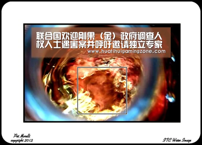 联合国欢迎刚果(金)政府调查人权人士遇害案并呼吁邀请独立专家介入:华体会直播(图3) 华体会登录