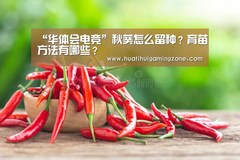 “华体会电竞”秋葵怎么留种?育苗方法有哪些?(图2) 华体会直播