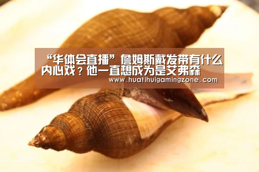 华体会体育