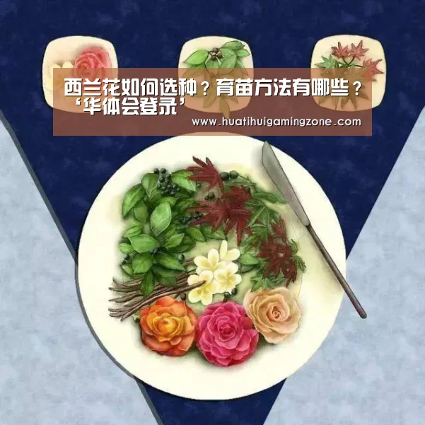华体会电竞