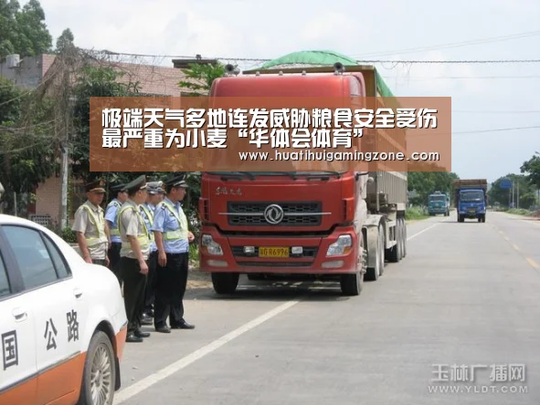 极端天气多地连发威胁粮食安全受伤最严重为小麦“华体会体育”(图1) 华体会电竞