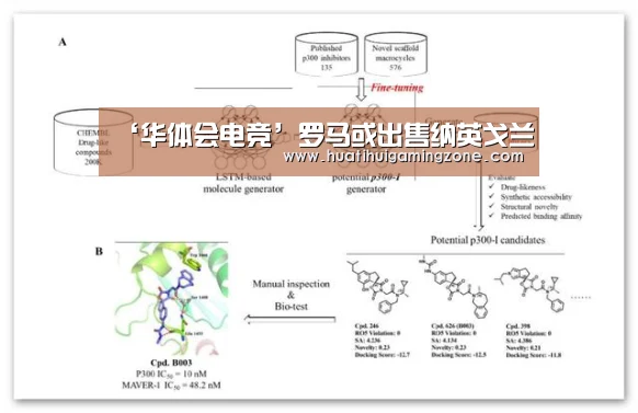 ‘华体会电竞’罗马或出售纳英戈兰(图4) 华体会登录