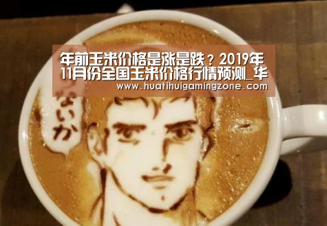 年前玉米价格是涨是跌?2019年11月份全国玉米价格行情预测_华体会登录(图1) 华体会直播