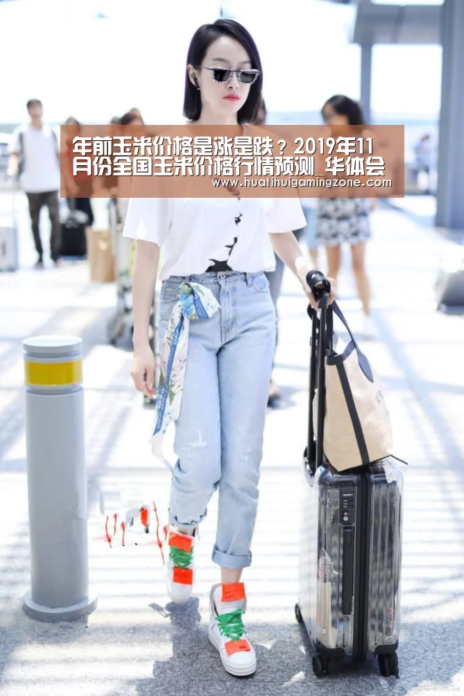 年前玉米价格是涨是跌?2019年11月份全国玉米价格行情预测_华体会登录(图2) 华体会体育