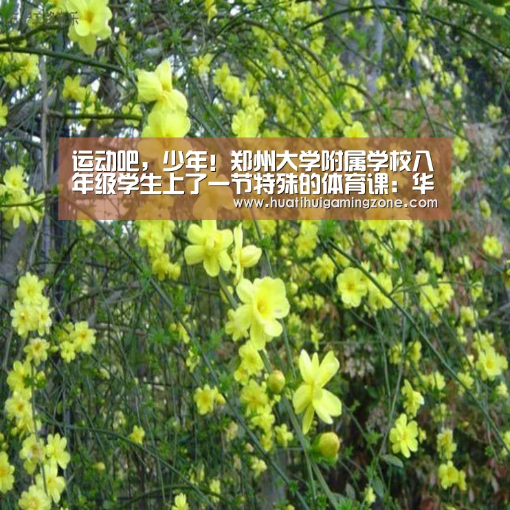 运动吧,少年!郑州大学附属学校八年级学生上了一节特殊的体育课:华体会登录(图2) 华体会体育