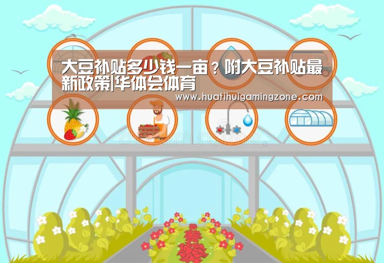 华体会直播
